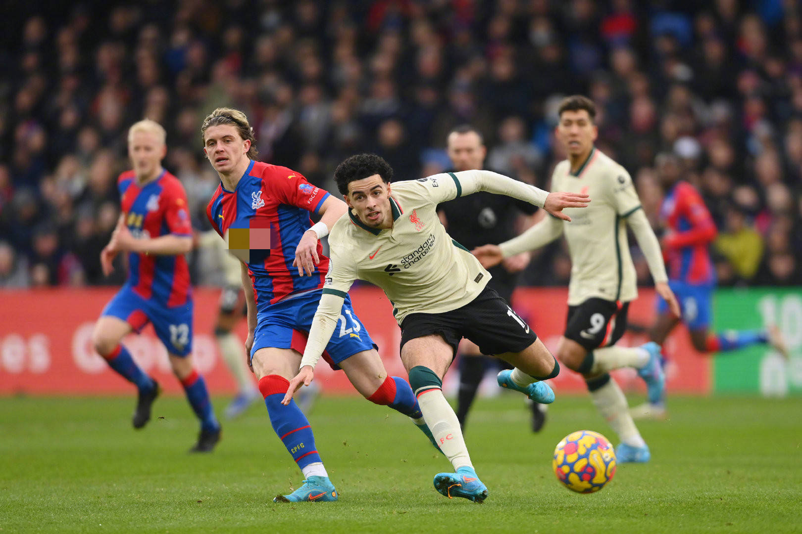 能源为滑雪 能源为滑雪